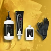 Garnier Olia Oil Powered Permanent Hair Color, 2.26 Black Amethyst