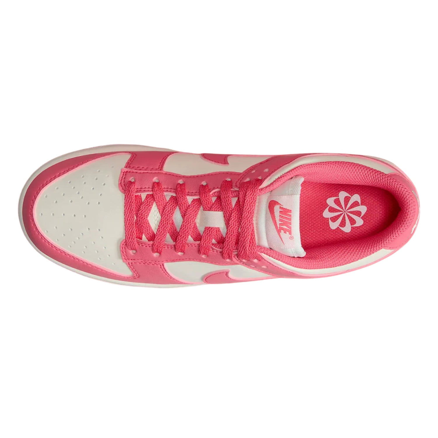 Women's Nike Dunk Low Next Nature Aster Pink/Sail (DD1873 600) - 6.5