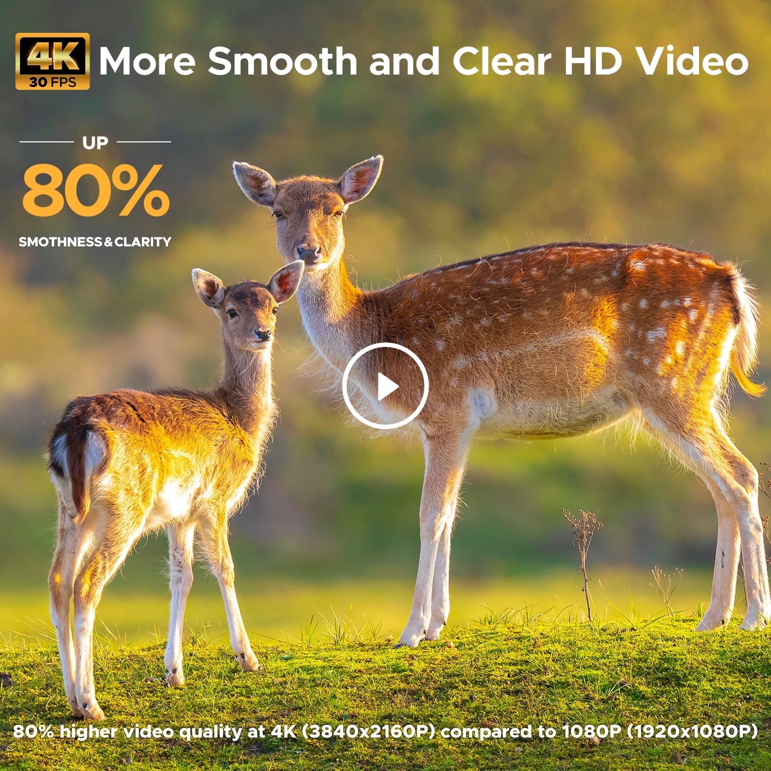 CAMPARK WiFi Trail Game Camera 4K 24MP Bluetooth Hunting Deer Camera with 3 PIR Sensor Infrared Night Vision Waterproof IP66 0.2s Trigger 2.4" LCD Trail Cam for Wildlife Monitoring