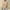 Khaki, variant on Aloohaidyvio Blouses for Women 3/4 Sleeve,Women's 2024 Summer Spring Trendy T-Shirts Casual 3/4 Sleeve Shirts Solid Color V Neck Basic Tees Loose Print Tops