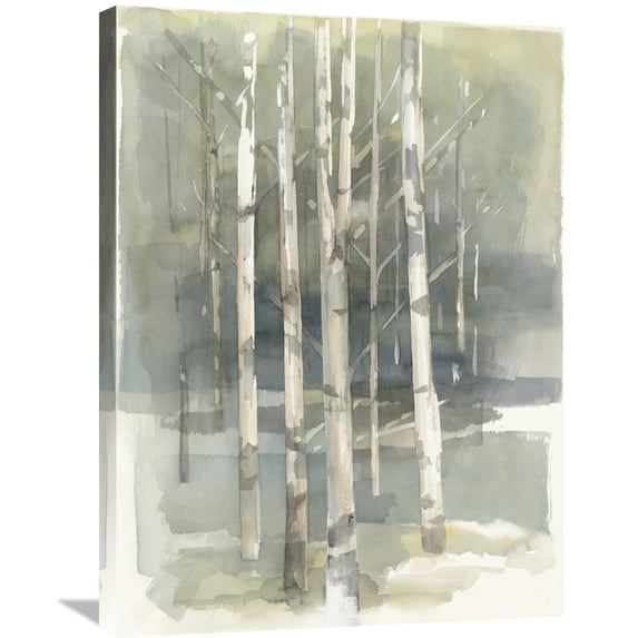 Global Gallery Avery Tillmon 'Birch Grove I Crop' Canvas Wall Art