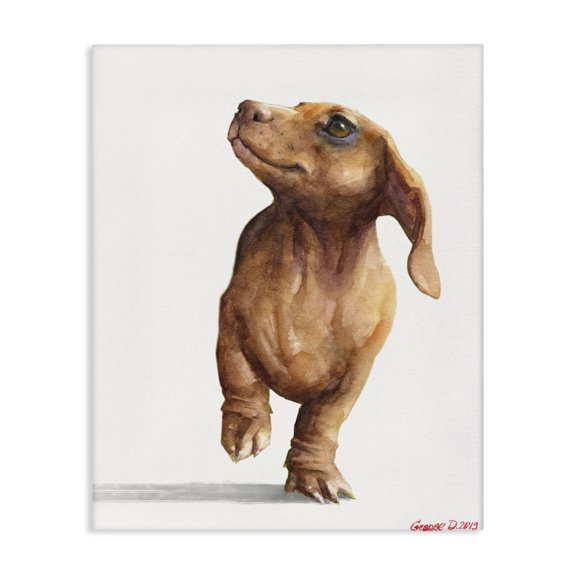 Stupell Industries Contemporary Little Dachshund Dog Strutt Adorable Pet Portrait Canvas Art, 16 x 20, by George Dyachenko