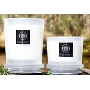 WINTER CURRANT 10oz Candle by Aquiesse