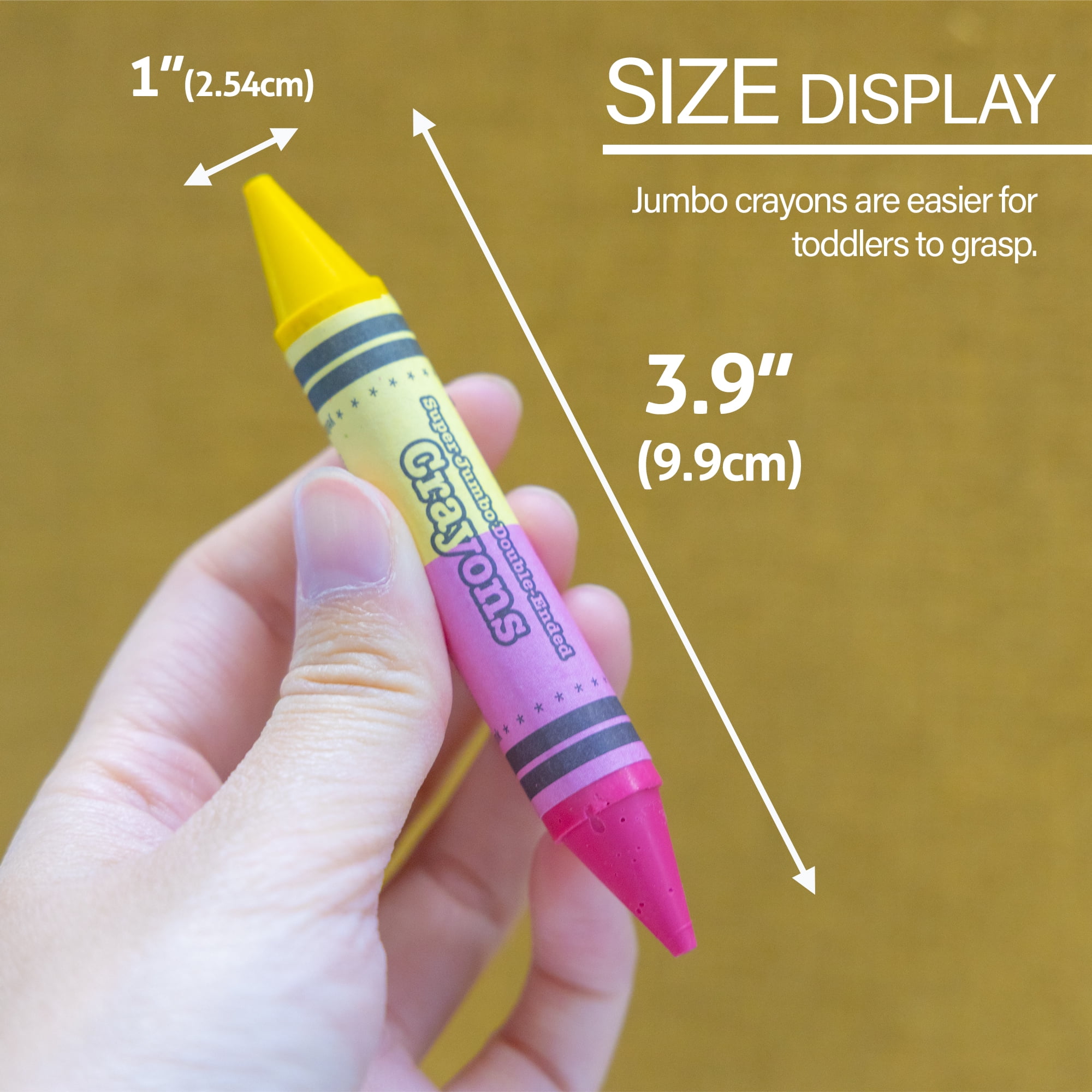 BAZIC Dual Sided Super Jumbo Crayons Premium 12 Colors, Non Toxic Drawing Crayons, Gift for Student, 24-Pack
