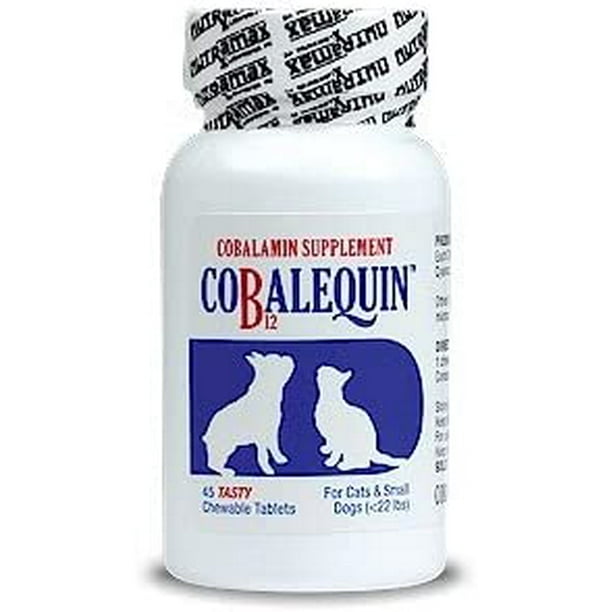 What Does B12 Do For Dogs