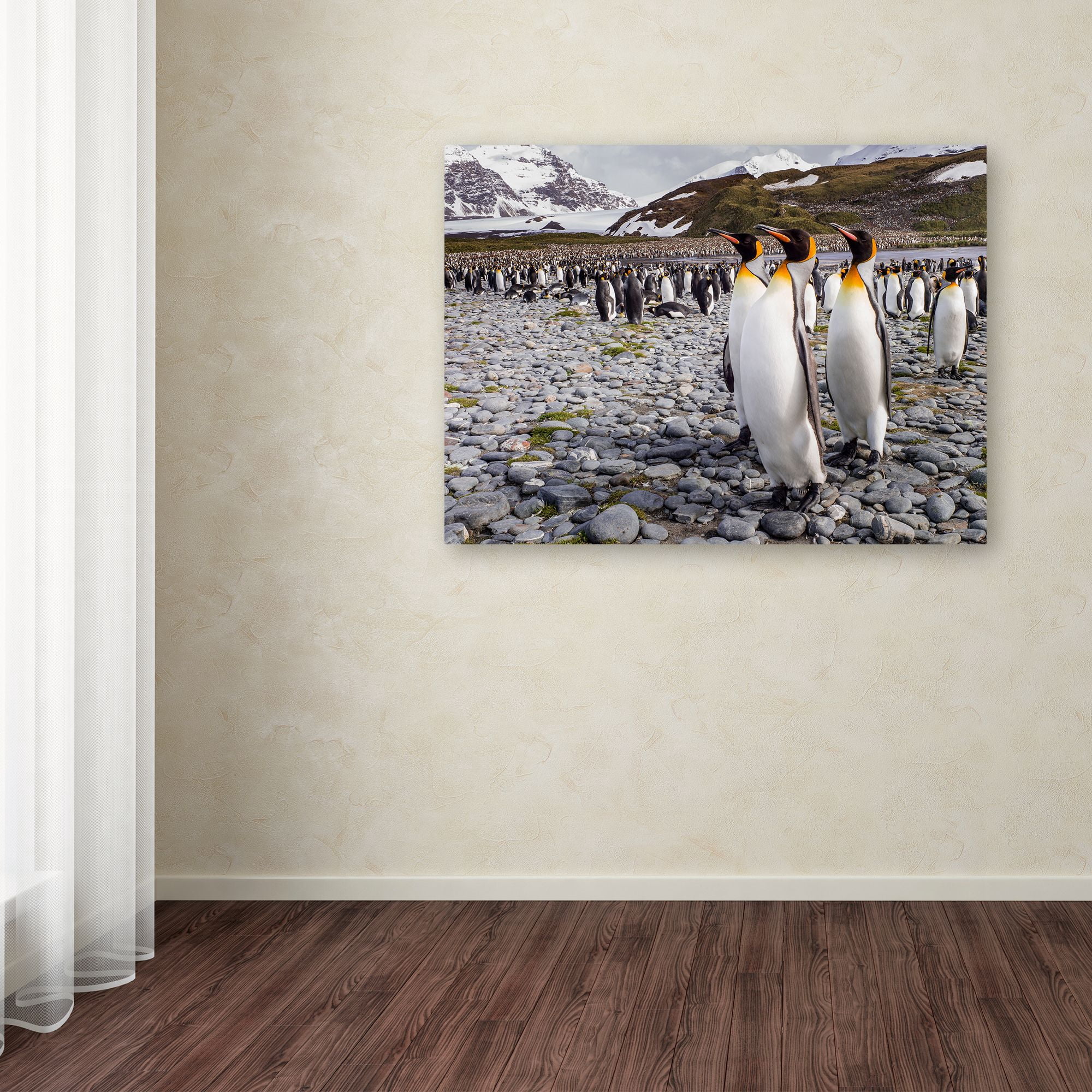 Trademark Fine Art 'Penguins Of Salisbury Plain' Canvas Art by Karen Lunney