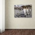 thumbnail image 3 of Trademark Fine Art 'Penguins Of Salisbury Plain' Canvas Art by Karen Lunney, 3 of 3