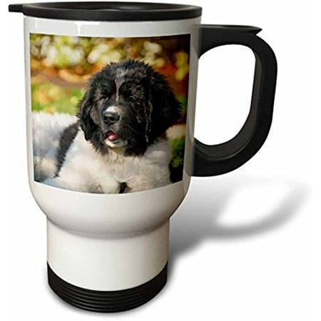 

3dRose Oregon Portland Landseer Newfoundland Dog Puppy Jaynes Gallery Travel Mug 14 oz Multicolor
