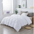 thumbnail image 2 of Kasentex  Winter Warmth Quilted Comforter, Cozy Soft Seersucker Textured, Down Alternative Fill White Queen, 2 of 34