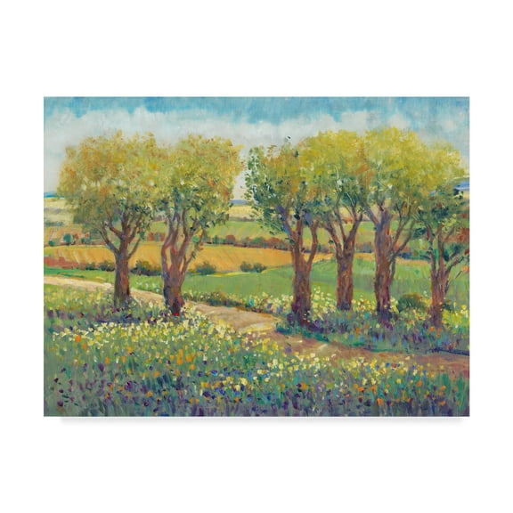 Trademark Fine Art 'Garden Path I' Canvas Art by Tim OToole