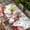 White, variant on Valentine's Gnomes Table Cloths for 6 Foot Rectangle Tables, Weeping Eucalyptus Pink Red Love Heart Vintage Patio Waterproof Elastic Fitted Tablecloths, Washable Rectangular Table Cover for Camping