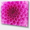 thumbnail image 2 of Grande Fleur Rose et Pétales - Impression sur Toile Florale, 2 of 3