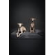 thumbnail image 3 of Cama grande para perros NOAH & PAW, 89 x 64 x 22 cm, refrigeración ortopédica, 3 of 6