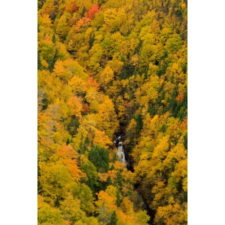 Nova Waterfall - Autumn Colour And Waterfalls Cape Breton Highlands National Park Nova Scotia PosterPrint