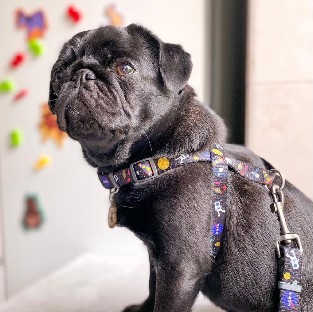 WAUDOG Nylon Overhead Harness with Unique Design | Reflective & Quick Fit Dog Vest Harness for Small Medium and Large Dogs | Adjustable Gentle Comfortable Control for Easy Dog Walking - Avocado