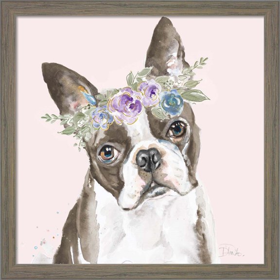 Great Art Now Flower Crown Pet III by Patricia Pinto, Framed Wall Art, 13W x 13H