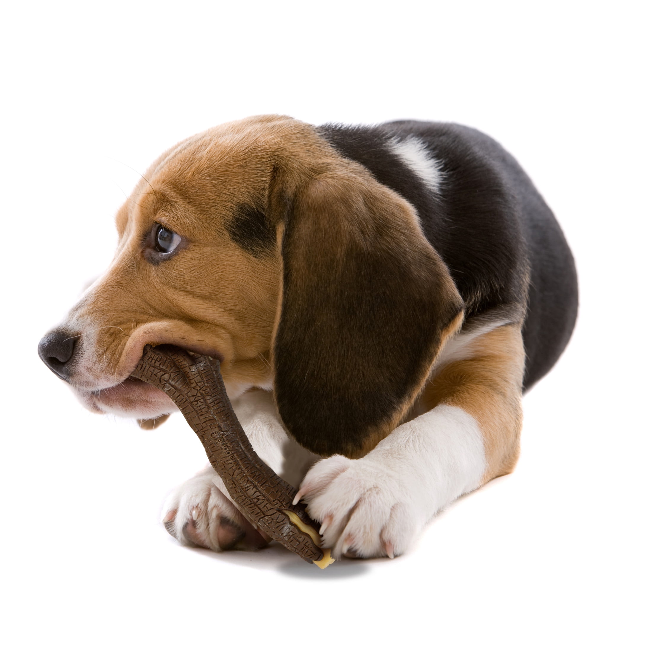 Nylabone Real Wood Stick Strong Dog Chew Toy - Up to 35 lbs.
