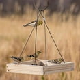 thumbnail image 2 of Perky-Pet Hanging Tray Bird Feeder - 1.6 lb Capacity, 2 of 5