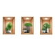 thumbnail image 2 of Decoración del hogar, decoración de habitaciones, efecto de decoración de pared, calcomanías en macetas, pasillo, escalera, pintura decorativa, hotel, restaurante, pared, plantas y flores, mural, imag, 2 of 3