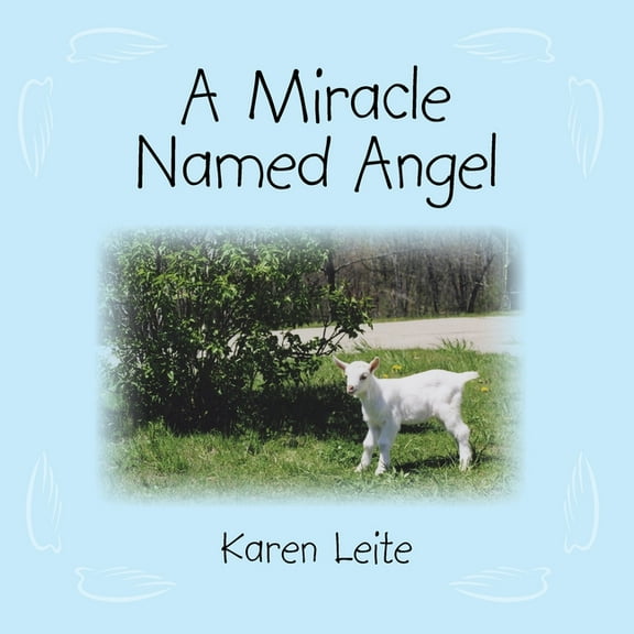 A Miracle Named Angel, (Paperback)