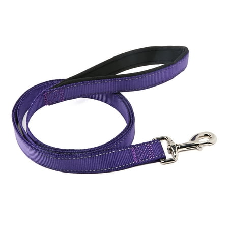 Vibrant Life Reflective Purple Comfort Dog Leash, Large, 6 ft, 1