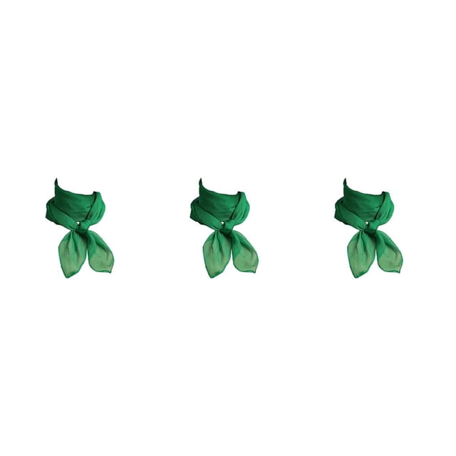 Qarigey Bufanda de gasa Estilo coreano Chica Ornamento Pañuelo pequeño Diseño delgado Pañuelo de mujer para el trabajo Casa Viajes Compras Verde Type1 NO1 Qarigey CBP381167