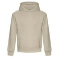 thumbnail image 1 of Awdis Sweat à Capuche Signature Poids Lourd pour Adulte, 1 of 2