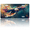 Colorful Bald Eagle in Flight, variant on 1 Pcs 2D Flat License Plate Covers & Frames, 4th Of July Bear For Decorative Front, Waterproof For Decoration Aluminum License Plate Covers & Frames Cover For Men Women, 12" X 6"