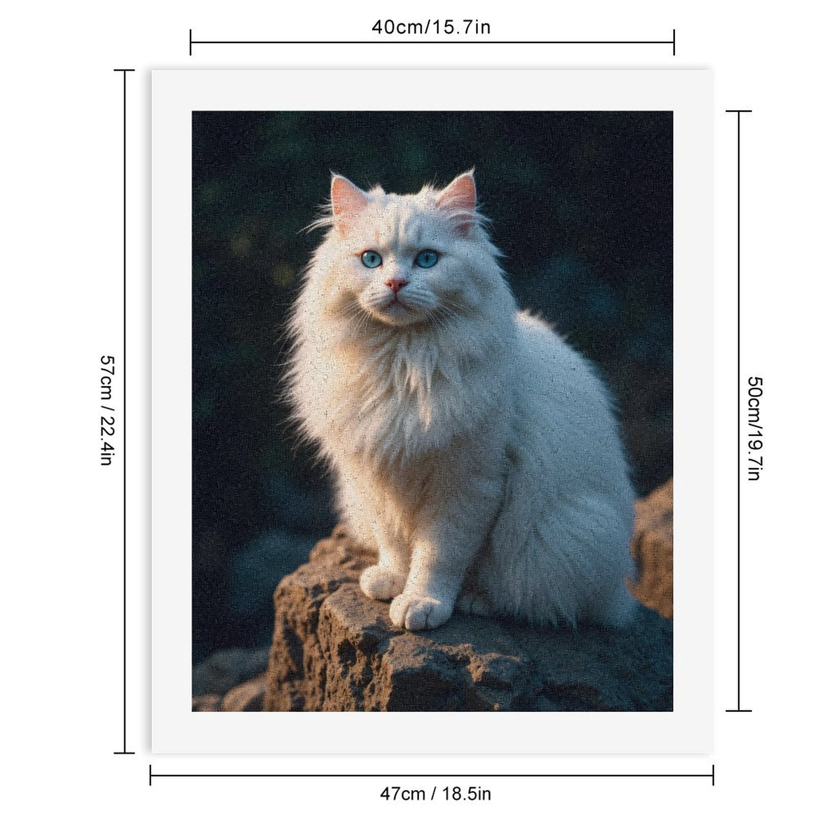 Paint By Numbers Kit for Adults Beginner - White Cat Blue Eyes Sunlit Rock DIY Canvas Painting Kits for Adults, Frameless Paint By Number for Adults for Home Wall Decor 16x20 Inch