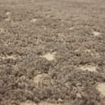 thumbnail image 3 of Woven Paths Loft Gray Braden Area Rug, 8' x 10', 3 of 9