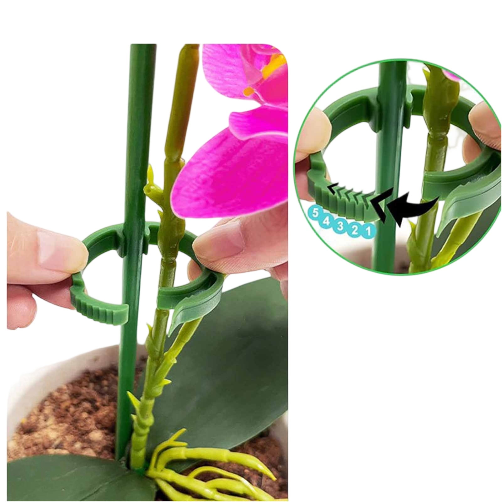 5 Pcs Plant Support Stakes, Garden Trellis Climbing Frame For Vines, Supports 30/45/60/75/90/120/150Cm (12-59 Inch) Plants, Green Plant Climbing Sticks For Garden Flowers