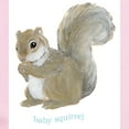 thumbnail image 2 of CafePress - Little Squirrel Baby Onesie - Baby Light Bodysuit, Size Newborn - 24 Months, 2 of 4