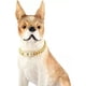 thumbnail image 2 of Collar De Cadena De Oro Para Perro Con Hebilla De Seguridad, 2 of 8