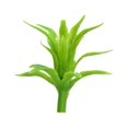 thumbnail image 2 of Pack of 50 Mini Model Grass Architecture Miniature Landscape Layout Decorative Artificial Plants Train Railway Fake Grasses Toy, 2 of 9