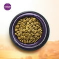 Halo Vegan Dry Dog Food, Garden Of Vegan, 10Pound Bag