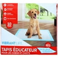 thumbnail image 4 of Vibrant Life Dog Pee Pads and Puppy Training Pads, L (56*56cm), 4 of 5