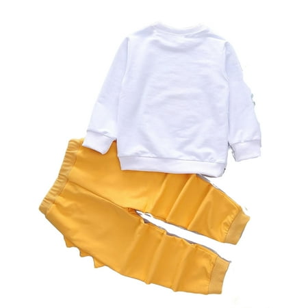 

Casual Round Neck Long Sleeve Multicolor Toddler Boy Two-piece Outfits ( Boy s)