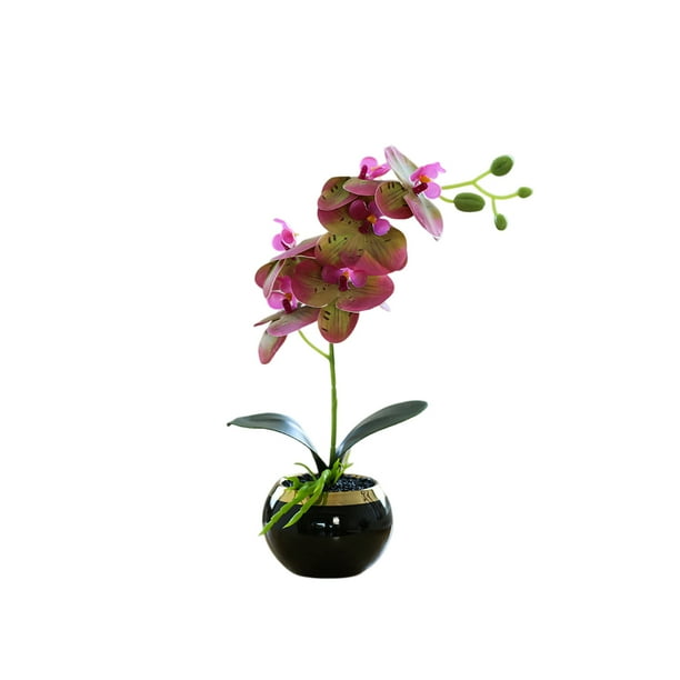 Ounissouiy Bonsái de flor de orquídea artificial, maceta de Phalaenopsis en maceta, figurita falsa para oficina, hogar, decoración interior y exterior Decoración Verde púrpura Ounissouiy HA084076-05