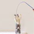 thumbnail image 5 of mulated Mouse Tail Cat Toy Cat Teaser Funny Stick Silicone Toys blue, 5 of 5