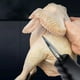 thumbnail image 5 of Desplumadora de Pollos Portátil de 750 W y 240 Rpm, Ligera, de Acero Inoxidable y Plástico, Ideal para Pollos, Pavos, Codornices y Gallinas de Guinea., 5 of 6