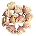 thumbnail image 1 of 10 Piezas de Cabeza de de Seda Artificial para Guirnaldas de Bricolaje Decoración de Boda 4,5 Cm / 1,78 Pulgadas champán Baoblaze Cabeza de flor, 1 of 7