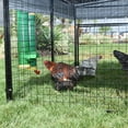 thumbnail image 6 of Rugged Ranch High-End Hen 2 Gal Poultry Waterer & Mounting System (4 Pack), 6 of 8