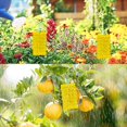 thumbnail image 2 of 30 Uds trampas para insectos trampas adhesivas pegatinas de pegamento de doble cara atrapamoscas amarillos impermeables pulgones blancos para plantas de jardín flores y frutas JM, 2 of 5