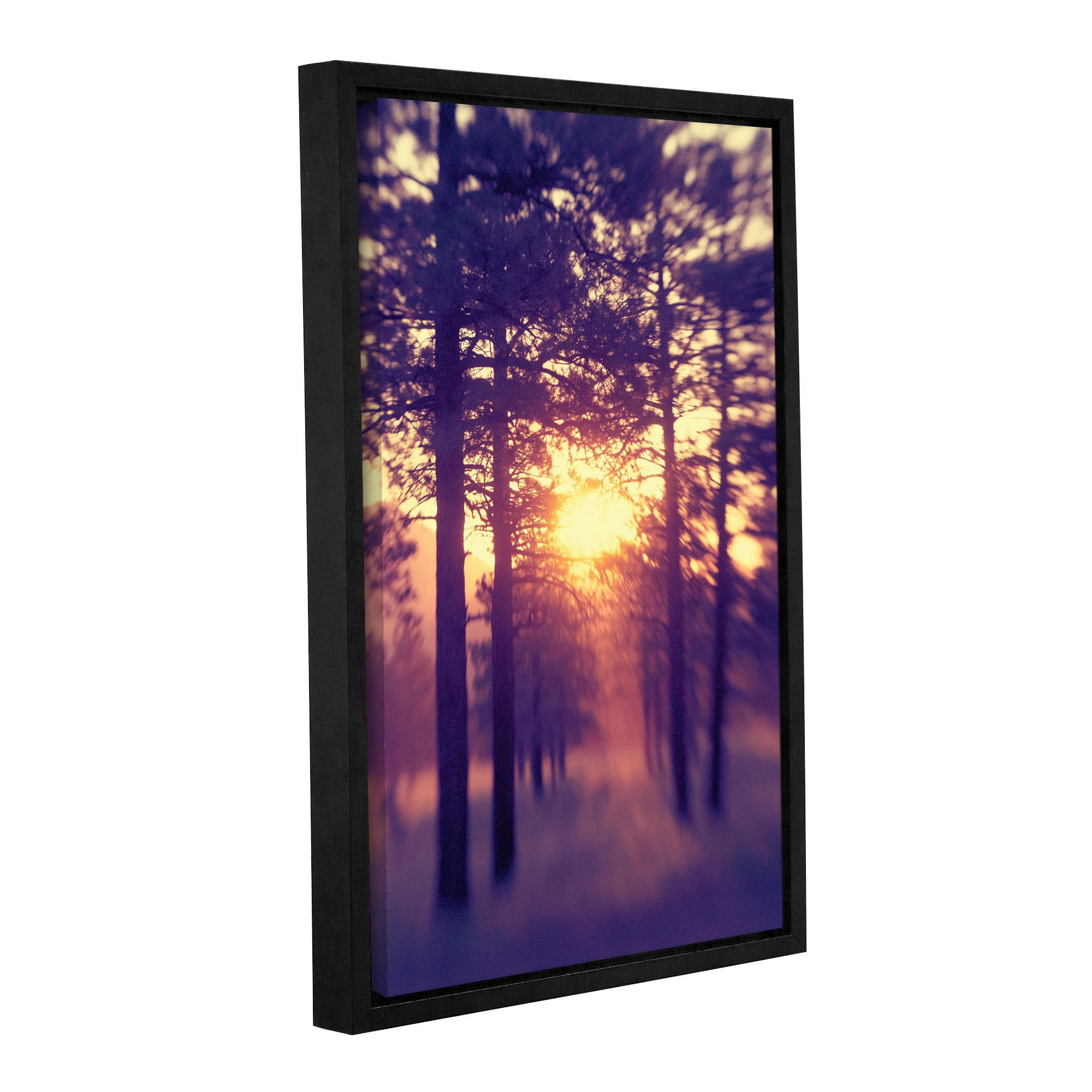 ArtWall Elena Ray "Woodland Sunset" Gallery-Wrapped Floater-Framed Canvas