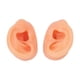 thumbnail image 5 of Enseñanza del Modelo de Oído, Modelo de Oído Simulado Simulado Para Médicos para la Farmacia de Otorrinolaringología, 5 of 7
