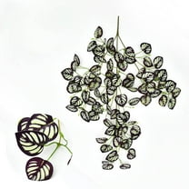 UNLLLL Artificial Green Wall Hanging Plant, 1 Pcs Trident Wire Simulation Green Planting, Plastic Faux Pothos Vines Hanging Plant, for Wall Home Living Room Indoor Outdoor Decor