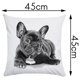 thumbnail image 2 of Funda de cojín decorativa con estampado de animales divertidos, cojín cuadrado para sofá o silla con forma de bulldog de 45 x 45 cm, 2 of 5