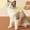Yellow, variant on Pet Grooming Comb Stainless Steel Teeth Self Cleaning Release Button for Flea Removal and Deshedding Cat Dog Hair Brush