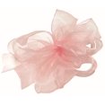 thumbnail image 1 of Pink Chiffon Ribbon, 1 of 1