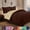 Brown/Cream, variant on Elegant Comfort Reversible Down Alternative Comforter Set, Soft Microfiber All-Season Bedding, Lightweight Wrinkle & Fade Resistant Comforter, Full/Queen, Red/Gray